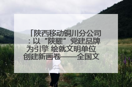 陕西移动铜川分公司：以“陕耀”党建品牌为引擎 绘就文明单位创建新画卷——全国文明单位创建纪实