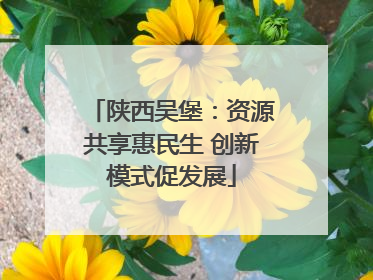 陕西吴堡：资源共享惠民生 创新模式促发展