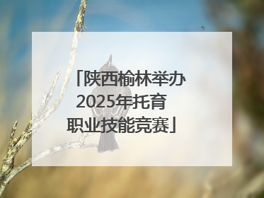 陕西榆林举办2025年托育职业技能竞赛
