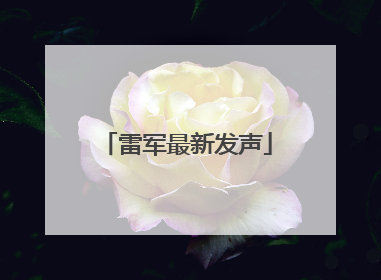 雷军最新发声