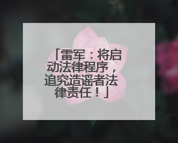 雷军：将启动法律程序，追究造谣者法律责任！