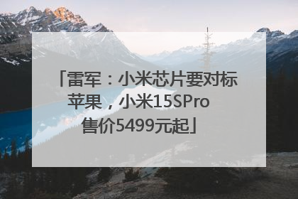 雷军：小米芯片要对标苹果，小米15SPro售价5499元起
