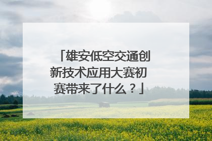 雄安低空交通创新技术应用大赛初赛带来了什么？