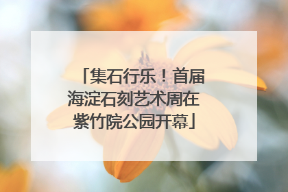 集石行乐！首届海淀石刻艺术周在紫竹院公园开幕