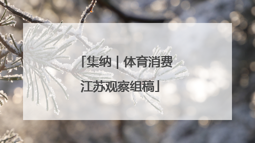 集纳｜体育消费江苏观察组稿