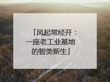 风起常经开：一座老工业基地的智美新生