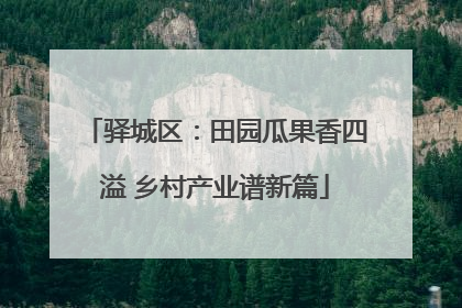驿城区：田园瓜果香四溢 乡村产业谱新篇