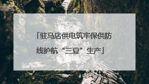 驻马店供电筑牢保供防线护航“三夏”生产
