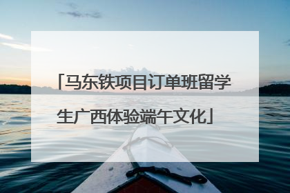 马东铁项目订单班留学生广西体验端午文化