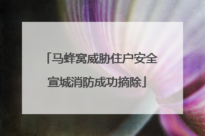 马蜂窝威胁住户安全 宣城消防成功摘除