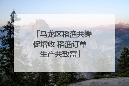 马龙区稻渔共舞促增收 稻渔订单生产共致富
