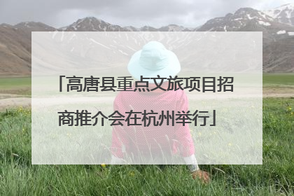 高唐县重点文旅项目招商推介会在杭州举行