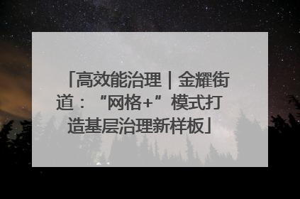 高效能治理｜金耀街道：“网格+”模式打造基层治理新样板
