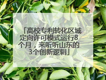 高校专利转化区域定向许可模式运行8个月，来听听山东的3个创新逻辑