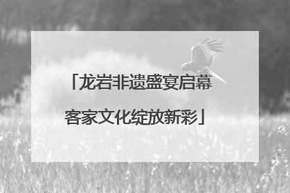 龙岩非遗盛宴启幕 客家文化绽放新彩
