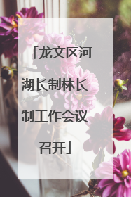 龙文区河湖长制林长制工作会议召开
