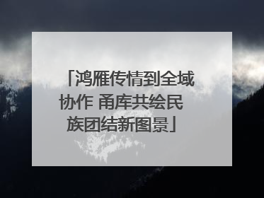 鸿雁传情到全域协作 甬库共绘民族团结新图景