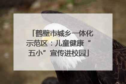 鹤壁市城乡一体化示范区：儿童健康“五小”宣传进校园