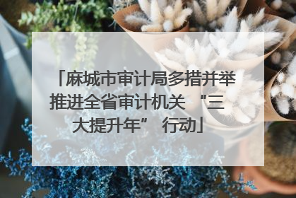 麻城市审计局多措并举推进全省审计机关 “三大提升年” 行动