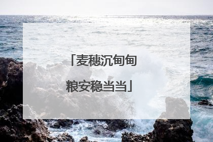 麦穗沉甸甸 粮安稳当当