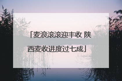 麦浪滚滚迎丰收 陕西麦收进度过七成