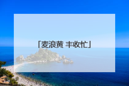 麦浪黄 丰收忙