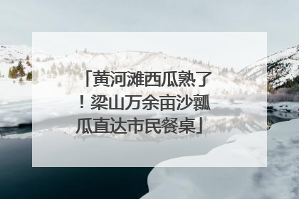 黄河滩西瓜熟了！梁山万余亩沙瓤瓜直达市民餐桌