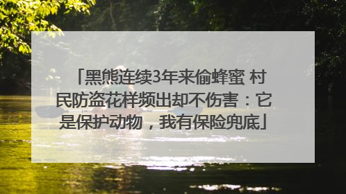 黑熊连续3年来偷蜂蜜 村民防盗花样频出却不伤害：它是保护动物，我有保险兜底