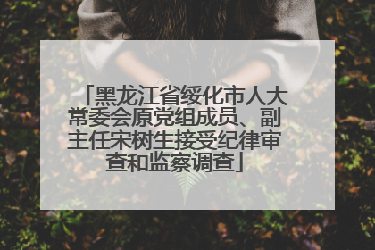 黑龙江省绥化市人大常委会原党组成员、副主任宋树生接受纪律审查和监察调查
