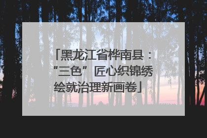 黑龙江省桦南县：“三色”匠心织锦绣 绘就治理新画卷