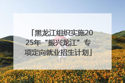 黑龙江组织实施2025年“振兴龙江”专项定向就业招生计划
