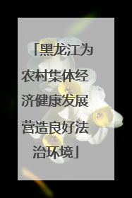 黑龙江为农村集体经济健康发展营造良好法治环境