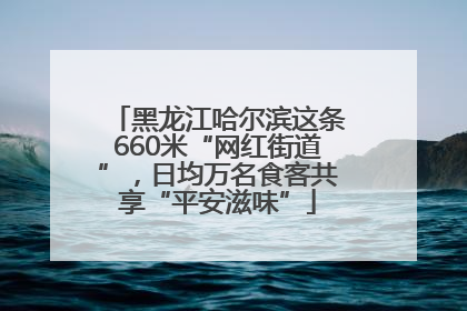 黑龙江哈尔滨这条660米“网红街道”，日均万名食客共享“平安滋味”
