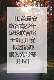 ﻿首届安徽省青少年足球联赛将于9月开赛 拟邀请赵鹏为先导赛开球