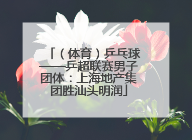 （体育）乒乓球——乒超联赛男子团体：上海地产集团胜汕头明润
