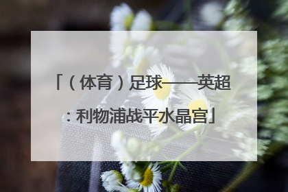 （体育）足球——英超：利物浦战平水晶宫