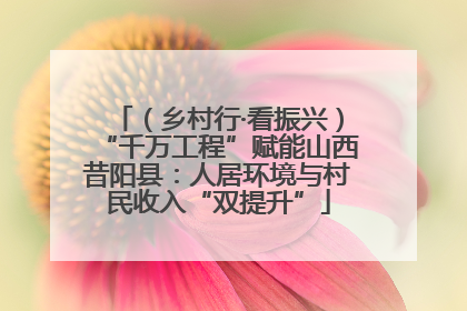 （乡村行·看振兴）“千万工程”赋能山西昔阳县：人居环境与村民收入“双提升”