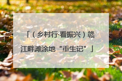 （乡村行·看振兴）赣江畔滩涂地“重生记”