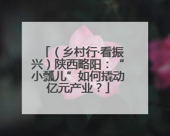 （乡村行·看振兴）陕西略阳：“小瓢儿”如何撬动亿元产业？