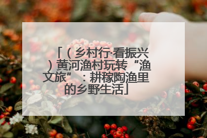 （乡村行·看振兴）黄河渔村玩转“渔文旅”：耕稼陶渔里的乡野生活