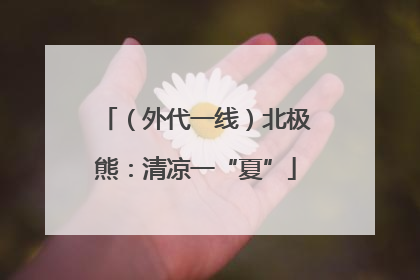 （外代一线）北极熊：清凉一“夏”
