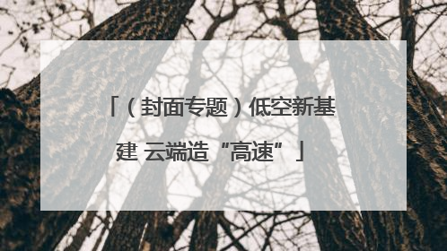 （封面专题）低空新基建 云端造“高速”
