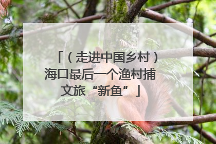 （走进中国乡村）海口最后一个渔村捕文旅“新鱼”