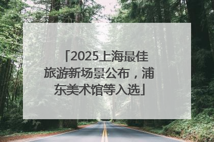 2025上海最佳旅游新场景公布，浦东美术馆等入选