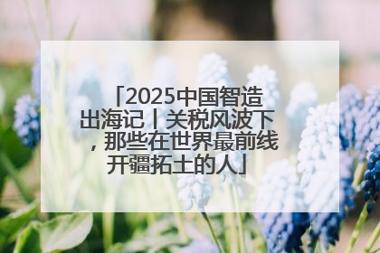 2025中国智造出海记丨关税风波下，那些在世界最前线开疆拓土的人