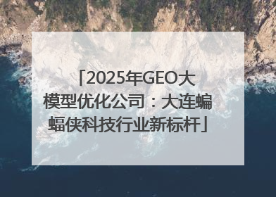 2025年GEO大模型优化公司：大连蝙蝠侠科技行业新标杆
