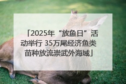 2025年“放鱼日”活动举行 35万尾经济鱼类苗种放流崇武外海域