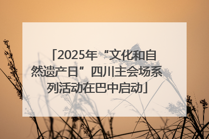 2025年“文化和自然遗产日”四川主会场系列活动在巴中启动