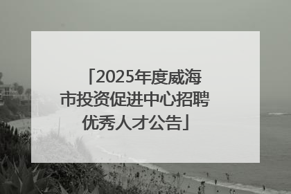 2025年度威海市投资促进中心招聘优秀人才公告