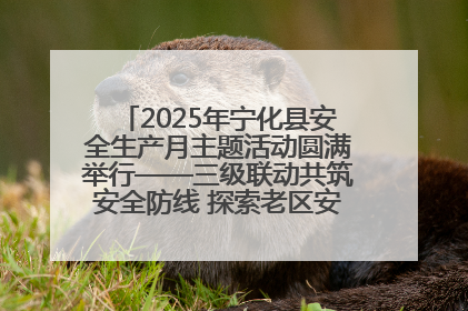 2025年宁化县安全生产月主题活动圆满举行——三级联动共筑安全防线 探索老区安全发展新路径